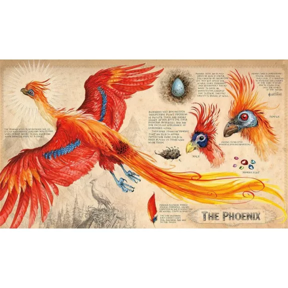 Harry Potter és a Titkok Kamrája – illusztrált könyv, angol