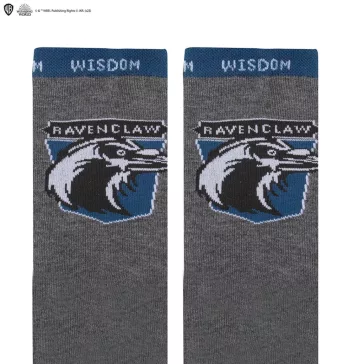 Harry Potter Hollóhát karácsonyfadísz zoknival