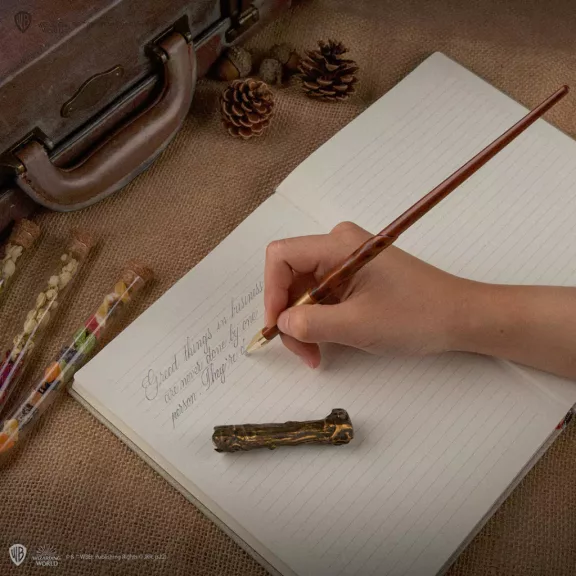 Harry Potter varázspálca toll bemutatóállvánnyal