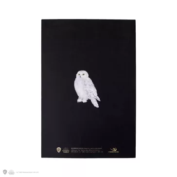 Harry Potter - Harry portrés puhafedeles jegyzetfüzet