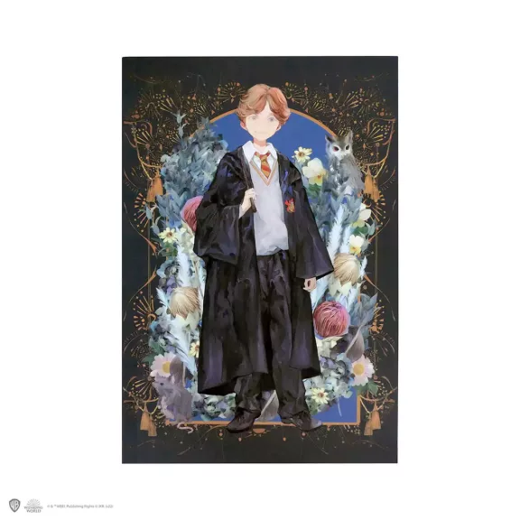 Ron Weasley puhafedeles jegyzetfüzet