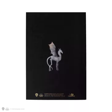   Harry Potter - Luna Lovegood portré puhafedeles jegyzetfüzet